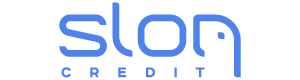Lender 31