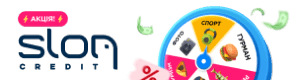 Lender 31